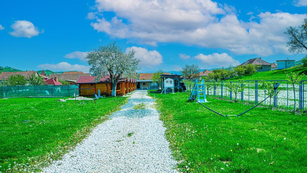 La Casute Guest house Silvasu de Jos